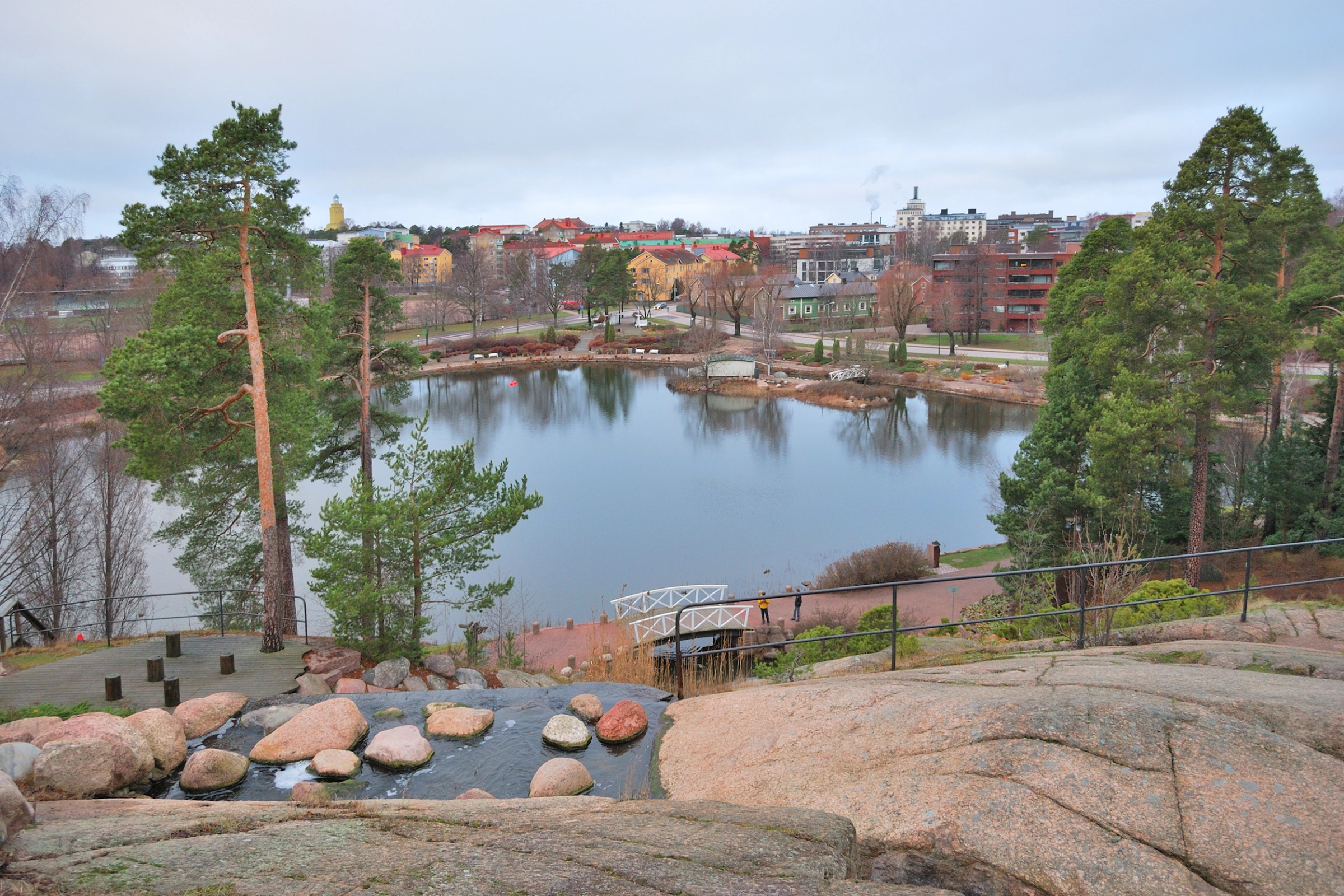 Kotka[1].webp